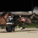 Buckeye Stallion Series kicks off at Northfield 1