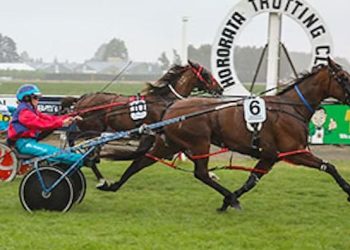 Speedy mare Francent to debut for new trainer