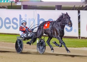 Gatesys Gem gets her Group 1 in NSW Trotters Oaks
