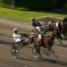 Go On Boy wins 2025 Elitloppet Final at third attempt