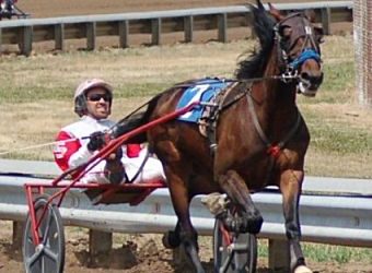 Former Illinois Horse of the Year looking to rebound