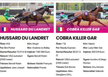 Hussard du Landret, Cobra Killer Gar invited to Elitloppet