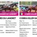 Hussard du Landret, Cobra Killer Gar invited to Elitloppet
