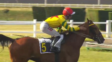 Magic Man, Impala de Val impress at Vincennes 3