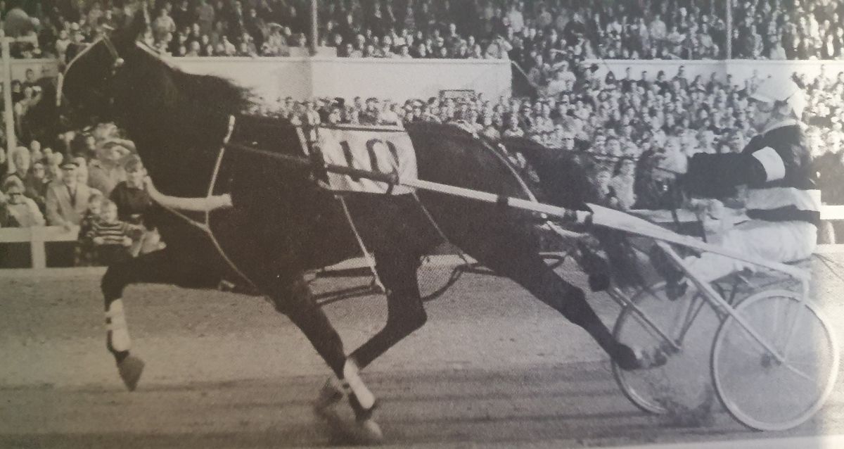 Great Sapling Stakes winners 1