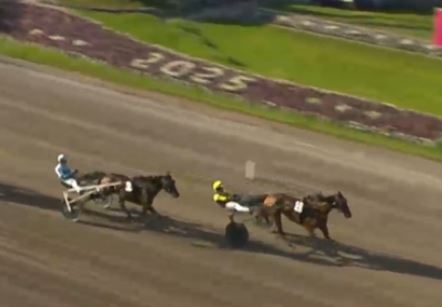 Inmarosa wins 1,000,000SEK Gr.I Harper Hanovers 1