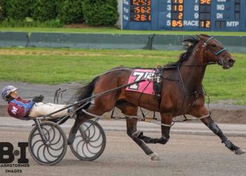 Crazy Fool does it again