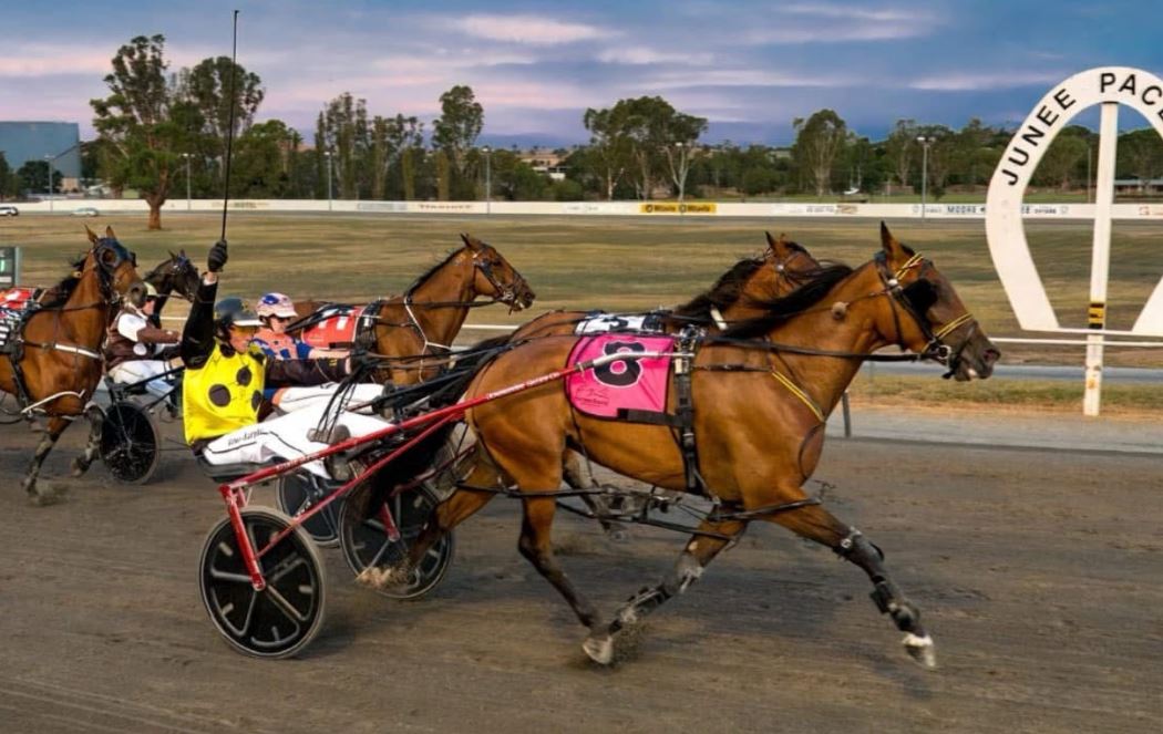 Tick A Loch switches off her rivals in Riverina Championships win 1