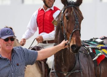 Hanrahan rates his runners today