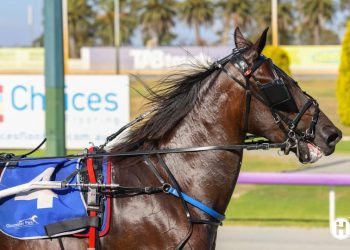 Lion Queen’s valiant win in Mares event