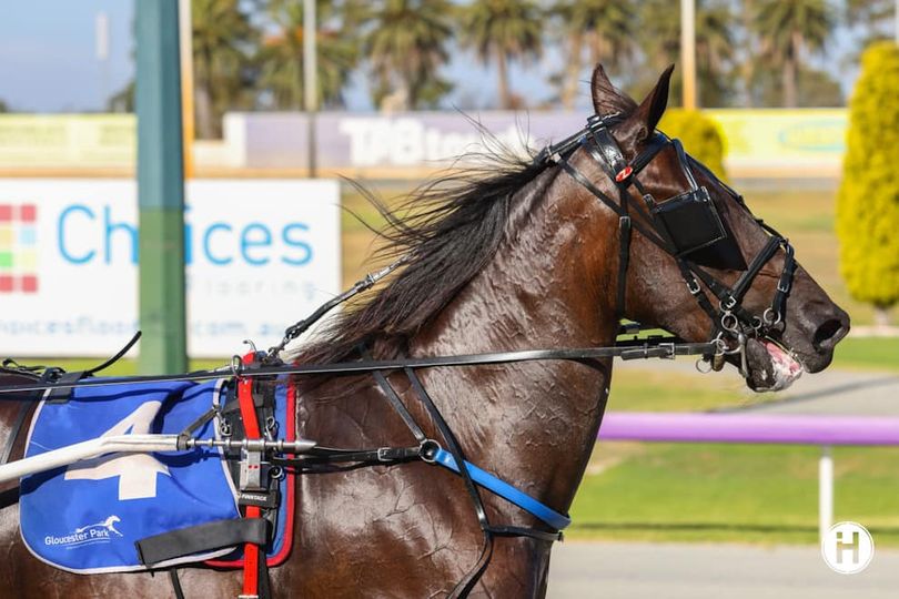 Lion Queen’s valiant win in Mares event 1