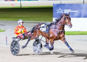 Weekly spotlight on breeding