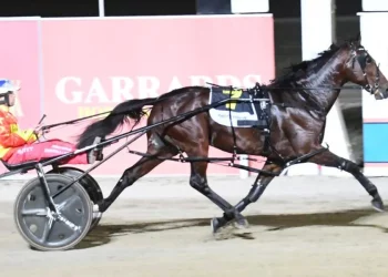 Emma Stewart scoops the Australian Pacing Gold Finals