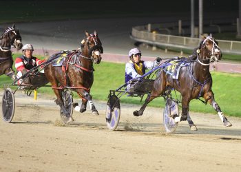 A new star in the Marketplace