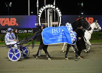 This could be the one for Zachary