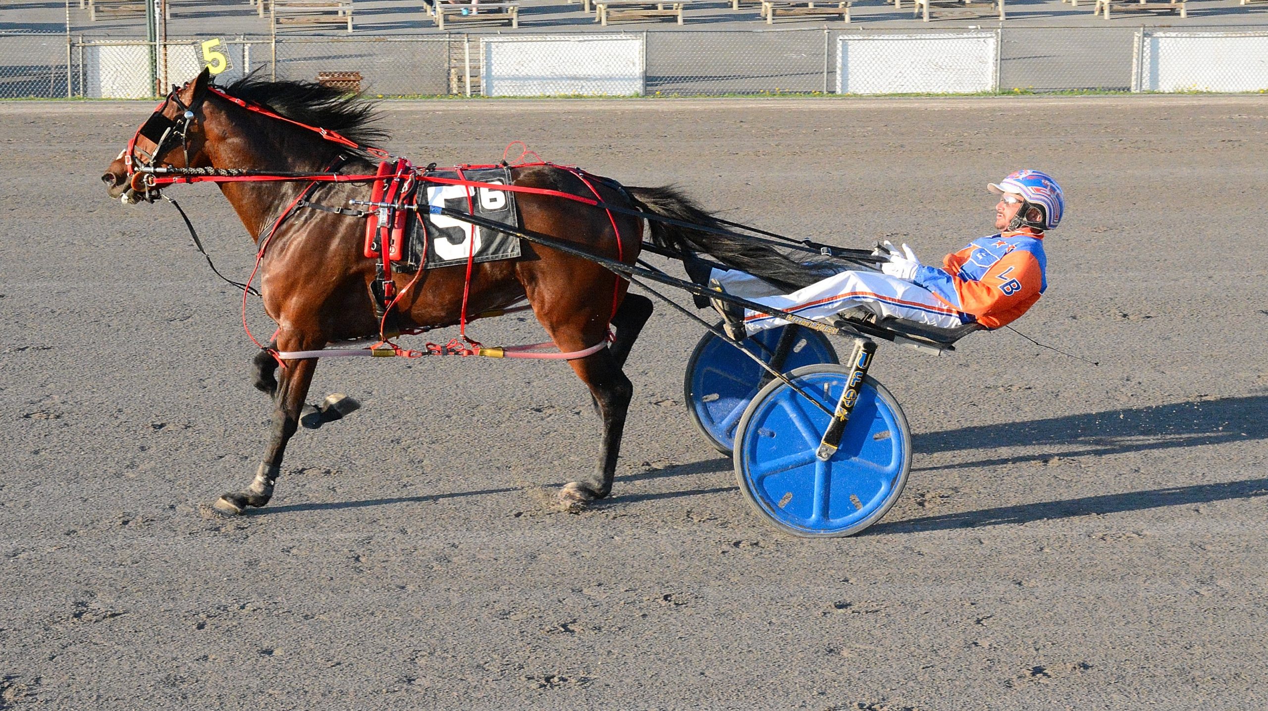 Stag Party colt wins easily 1