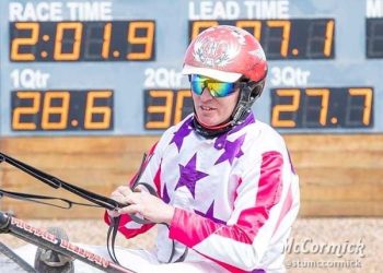 Michael Bellman has high hopes for Mecarno