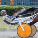 Polansky upsets in AHDC Trot