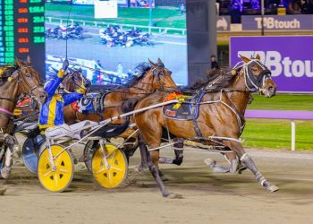 Kiwi-bred too smart in Group One Nullarbor