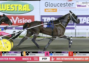 Mister Smartee completes big double winning $300,000 Fremantle Cup