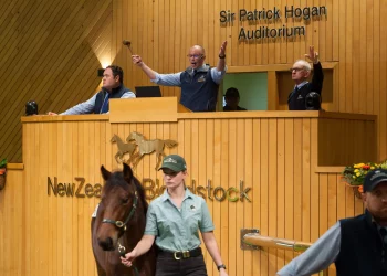 Seven more weanlings added to NZB Weanling sale