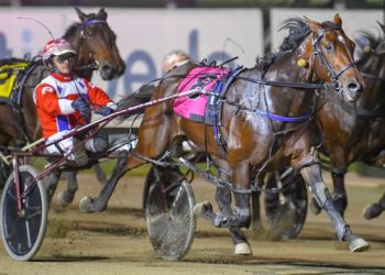 James Rattray’s classy pair shaping up for the Inter Dominion