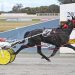 Penny Black’s gritty win in Breeders Mares 4 Penny Black’s gritty win in Breeders Mares