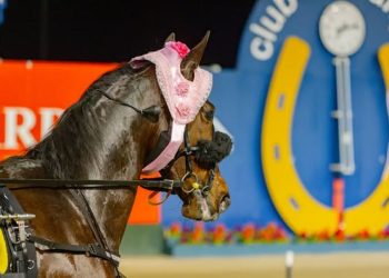 Quatro Moth takes the Pink Bonnet