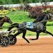Buter wins six including main trot 2