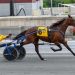 Incaseyoudidntknow racks up 41st career win 2