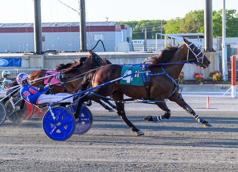 Downers Delight notches 9th win of the season 1