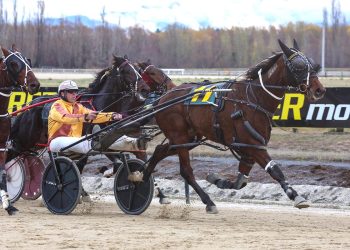 Plenty of screen time for the Edmonds