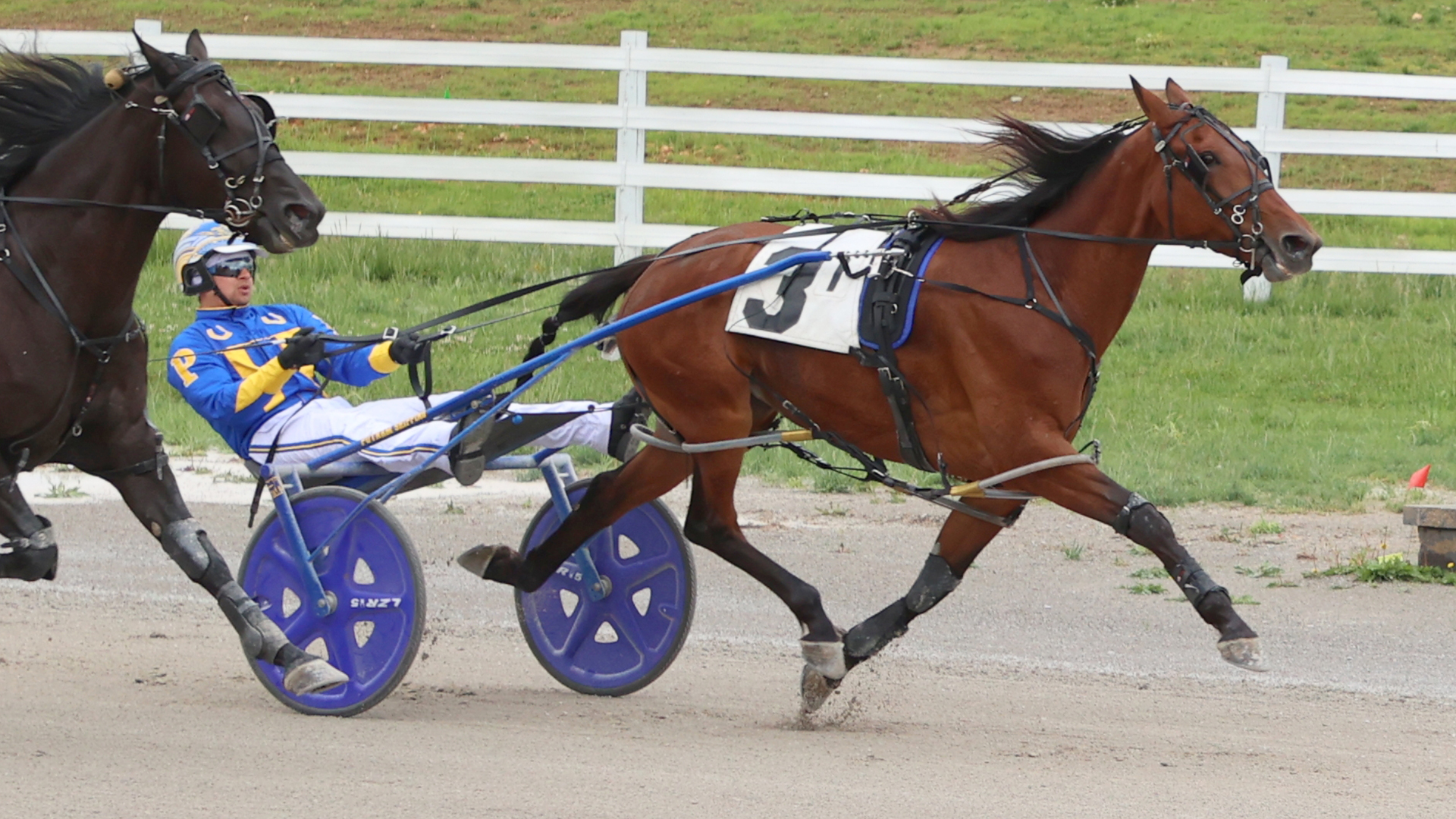 Handle record broken at Oak Grove 1