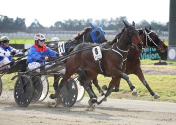 Mare with a famous name wins her maiden race