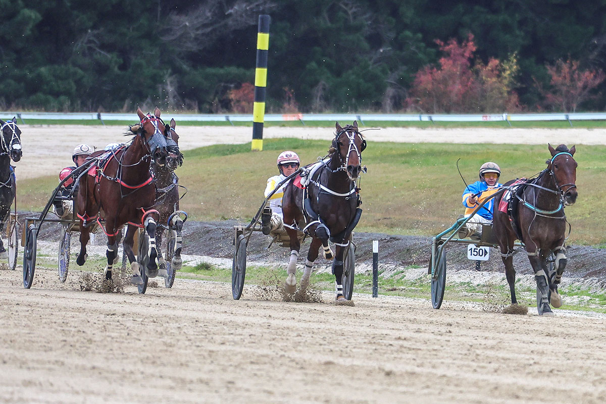 Veteran trainer gets 350th win 1