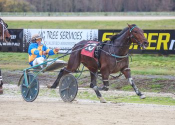 Veteran trainer gets 350th win