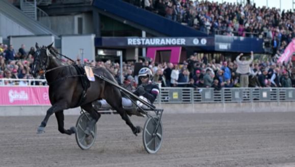 Inmarosa wins 1,000,000SEK Gr.I Harper Hanovers 4