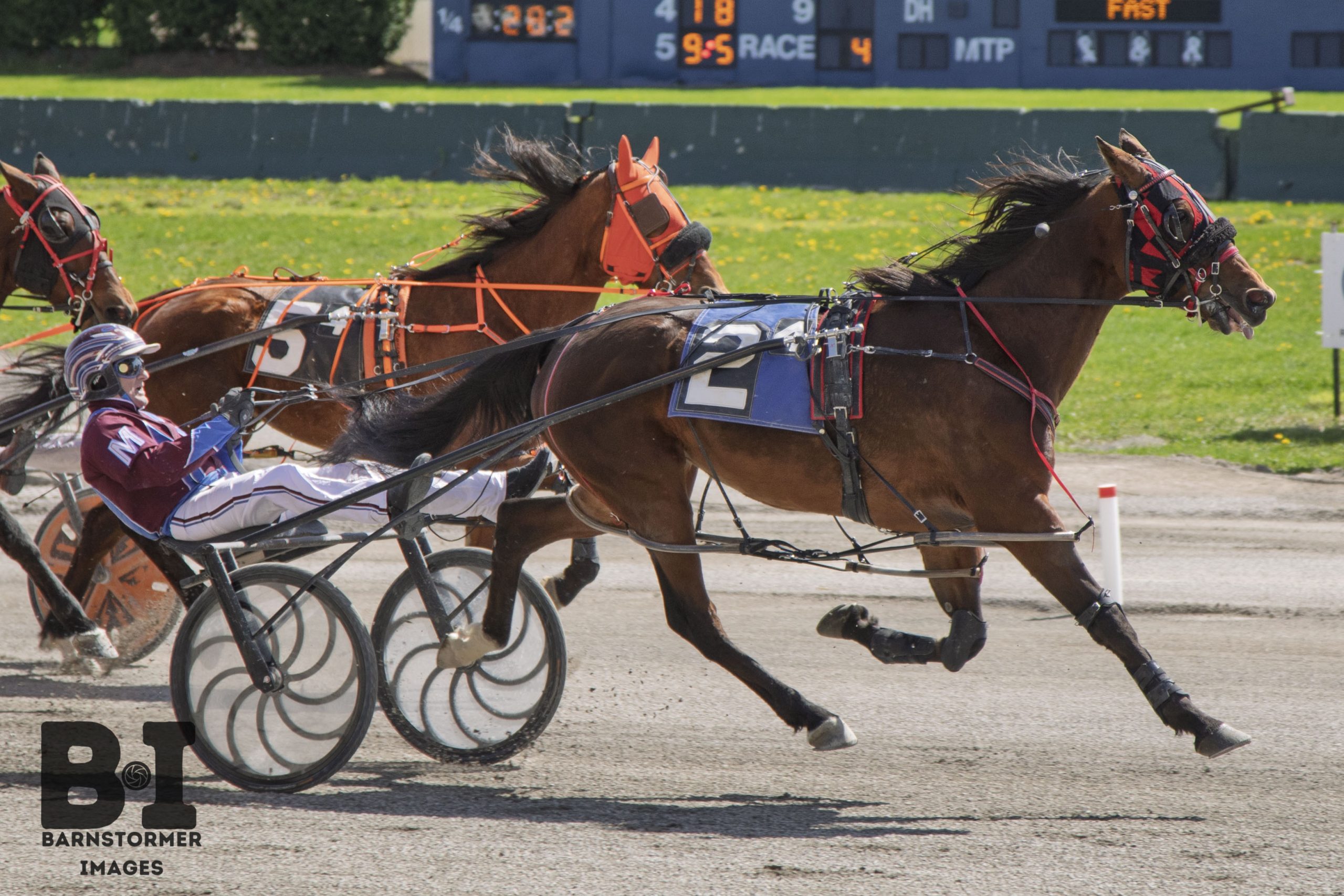 Confident victory to Scenic Adventure 1