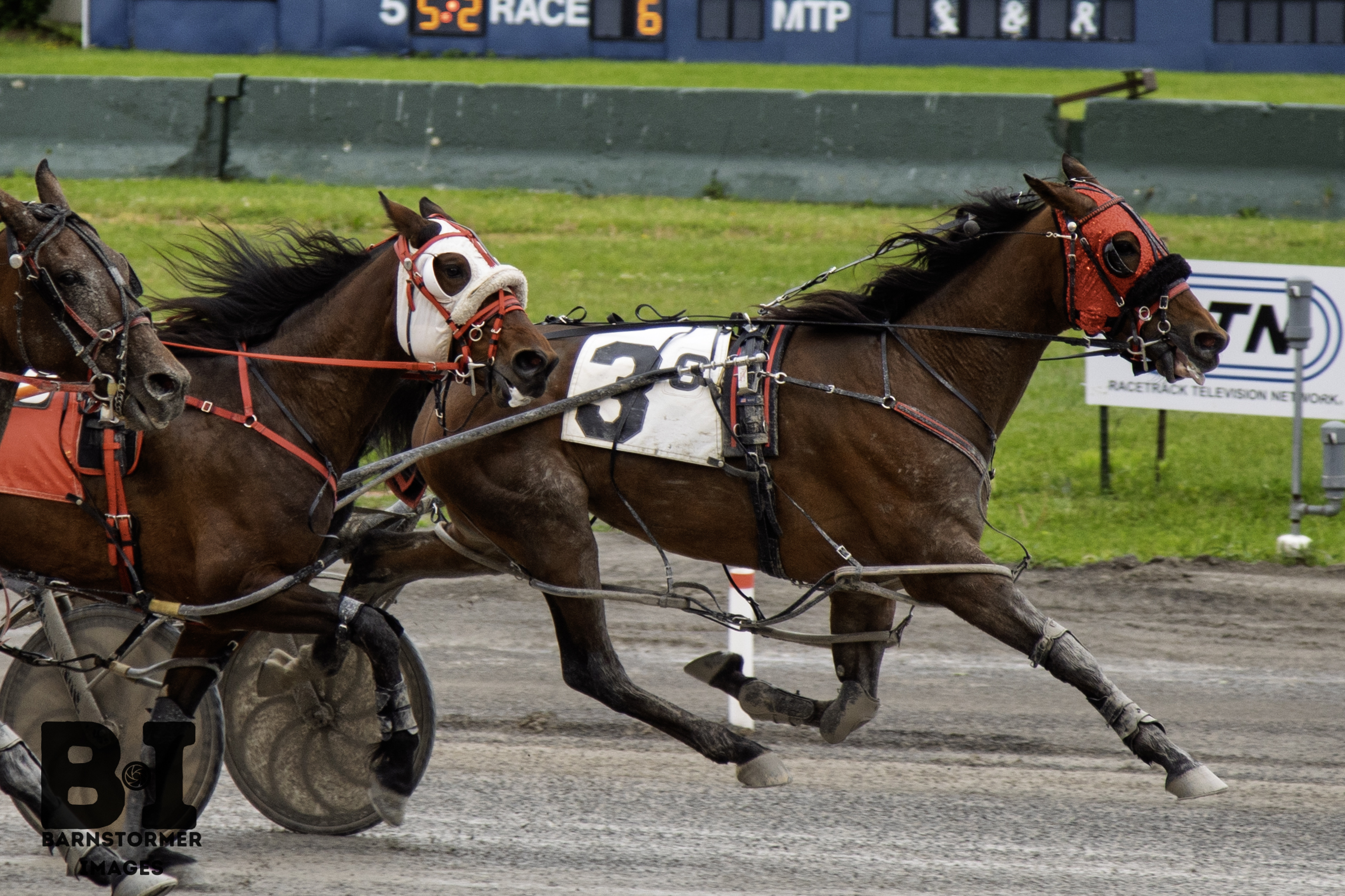 Adventurous win for daughter of Racing Hill 1