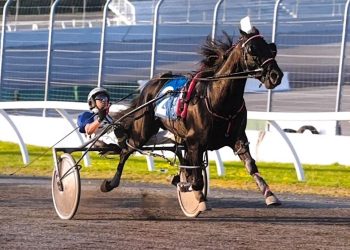 Game Changers – Siddall