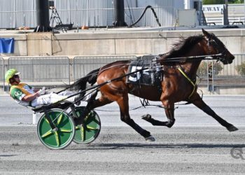 Father Patrick gelding speeds away with main prize
