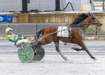 Speed Away continues his success