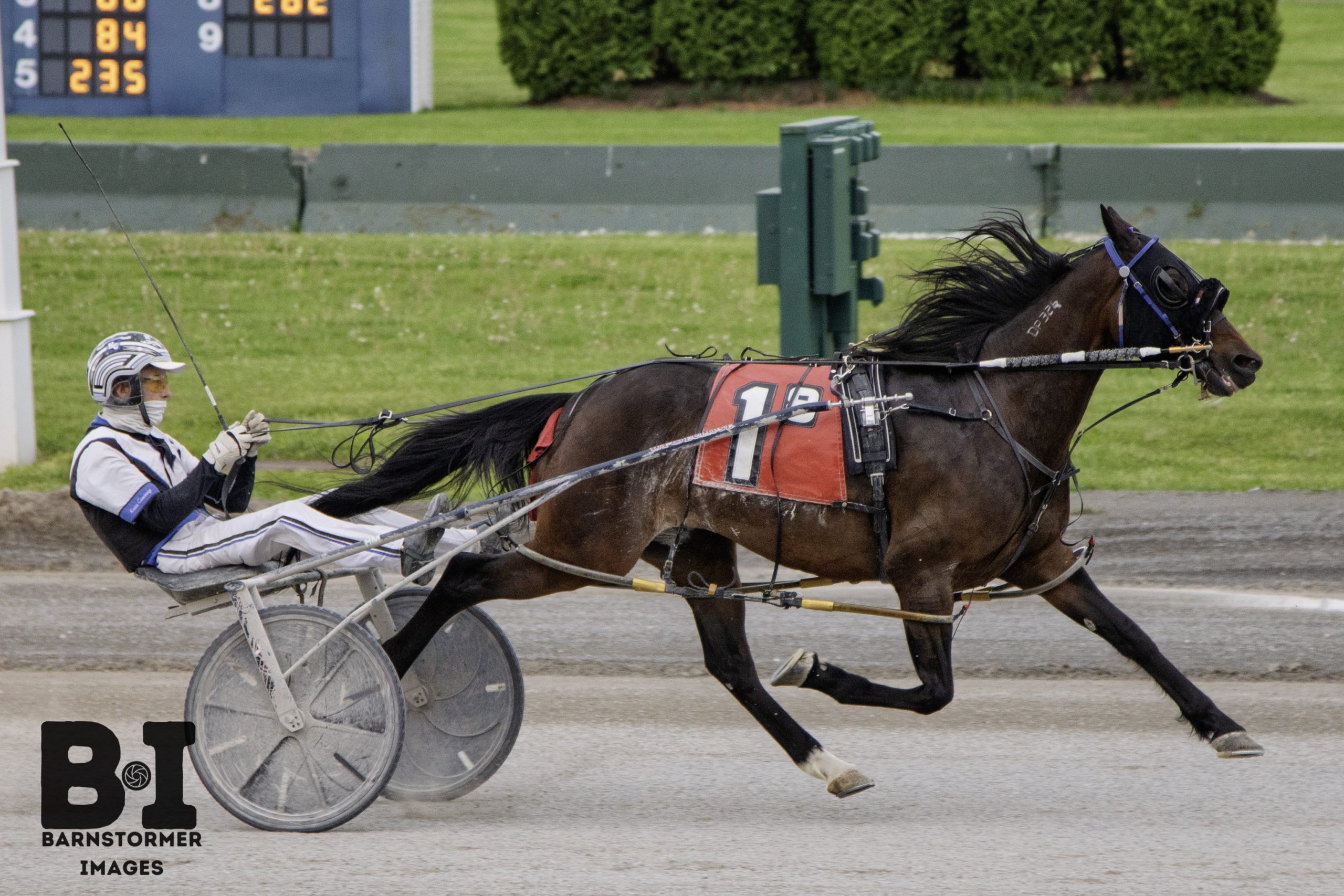 Stranger Things subdues Buffalo field 1