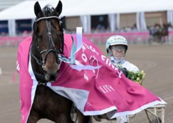 Double Deceiver wins 600,000SEK Sweden Cup