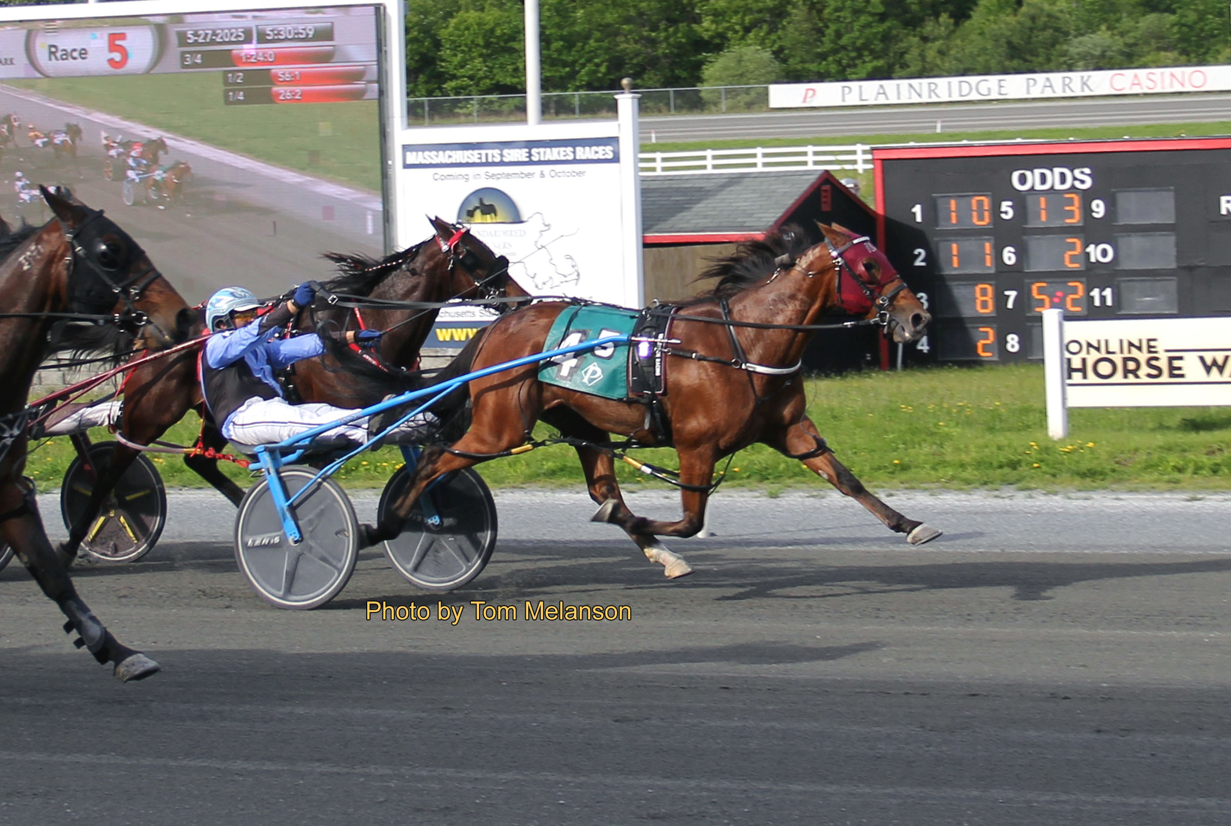 Ex Kiwi mare goes the distance in $25,000 open 1