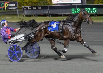 Chance of Trot Rods glory for White