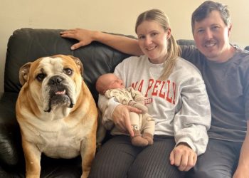 New mother back in the sulky this weekend