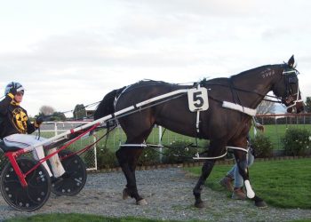 Classy gelding has an ‘effect’ of Carter