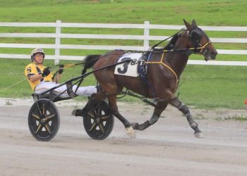 Legend returns and takes USHDC feature
