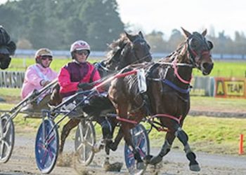 Topaz caps off big week for John McDermott